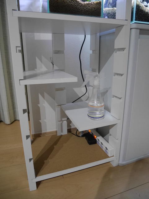 P1100008