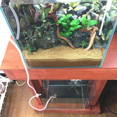 2016-06-20-12-29-49