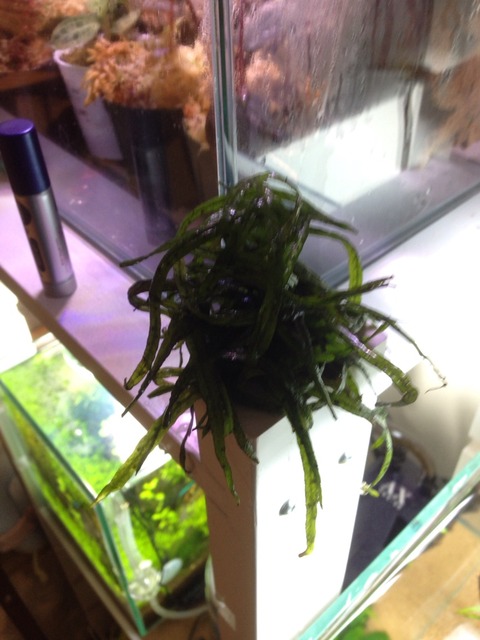 2016-01-05-19-01-16