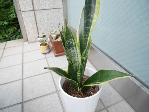 P1090857