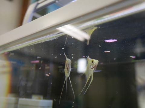 P1080648