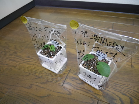 P1090126