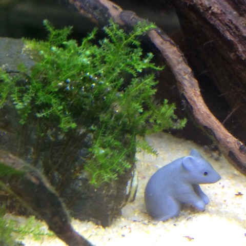 2015-06-18-14-06-49