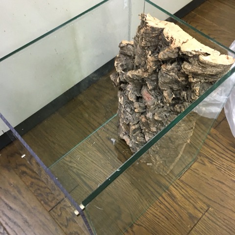 2016-09-11-14-06-53