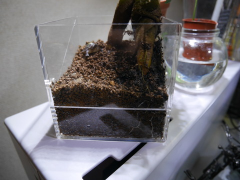 P1090138
