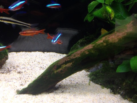 2015-08-23-09-57-23