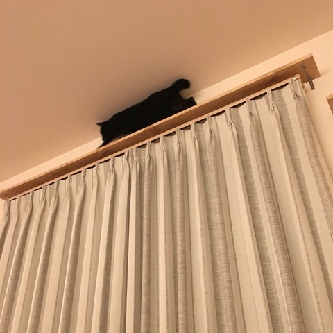 2016-10-04-23-53-11