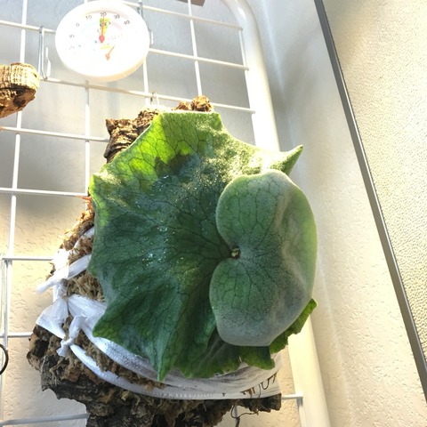 2016-06-21-17-04-05