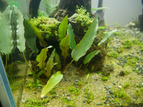 P1100222