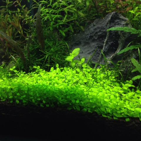 2015-12-18-20-05-26