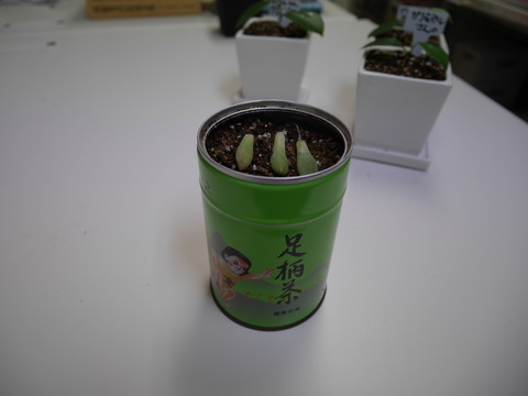 P1090123