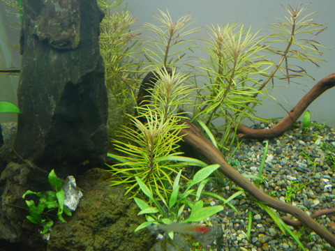 P1100673